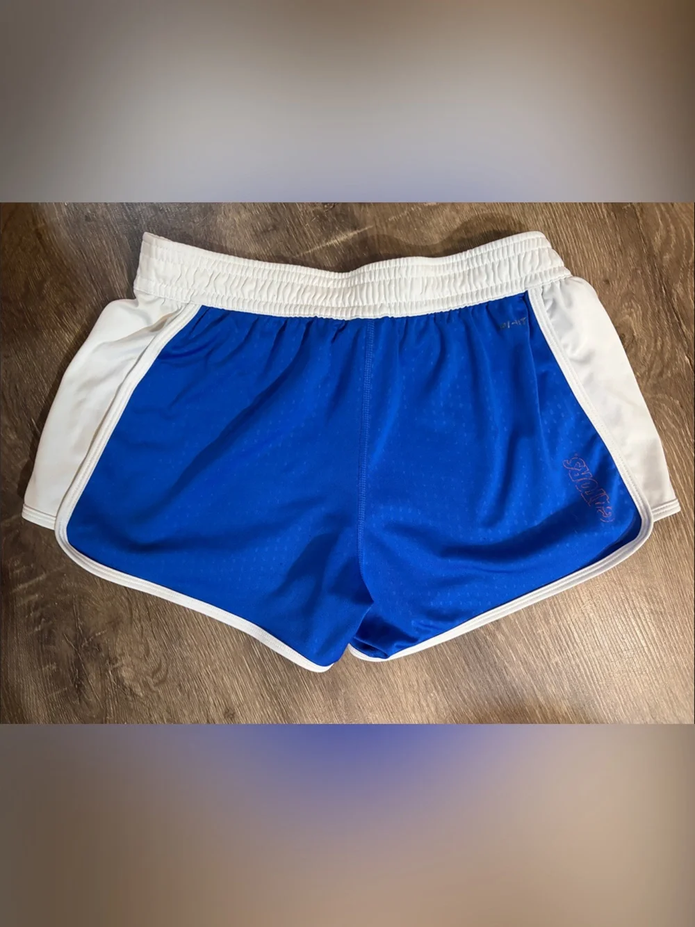 Nike Dri-Fit Florida Gators UF Shorts